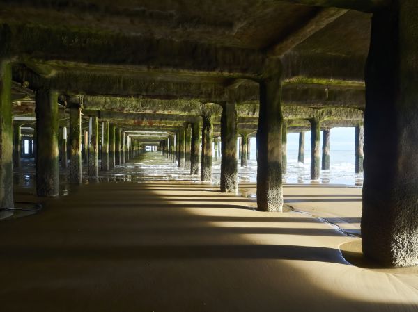 Cost of Concrete Pier Repair in North Richland Hills